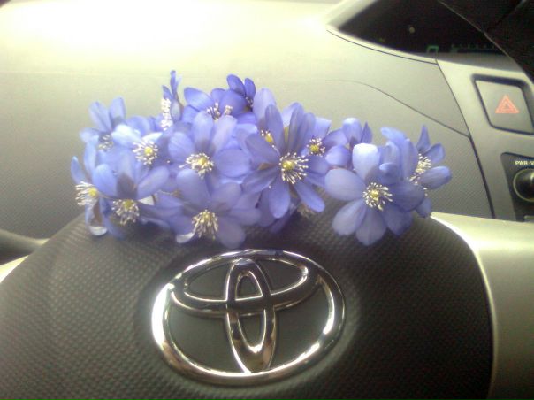 №12, Алеся Заяц, Минск №12, Алеся Заяц, Минск