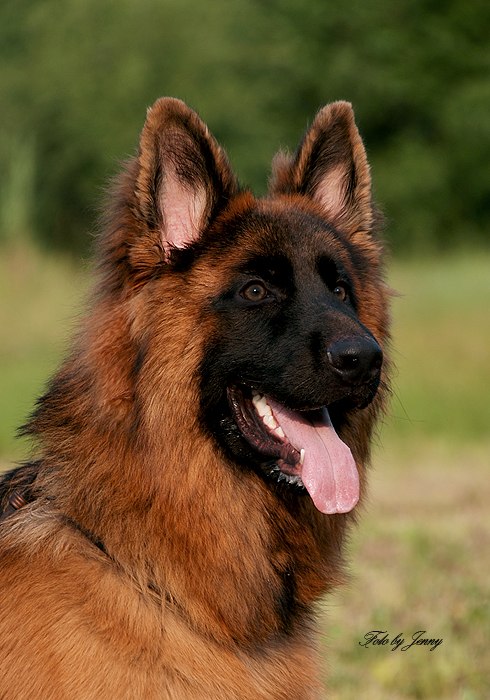 Екатерина Гравшенкова | Хабаровск