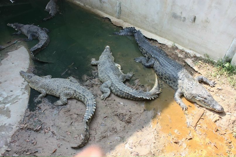 Александр Луковицкий | Санкт-Петербург