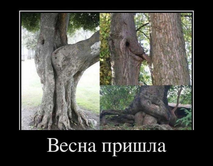 Саша Жданов | Мариуполь