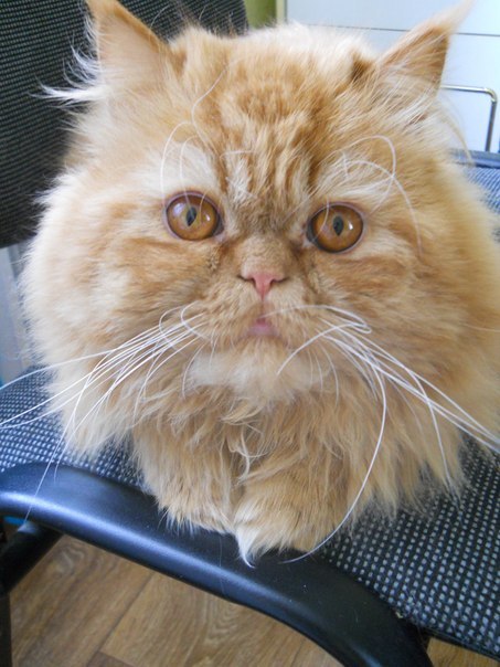 №51, Александр Московчук, Хмельницкий №51, Александр Московчук, Хмельницкий