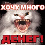 Рома Удалов | Тонкино