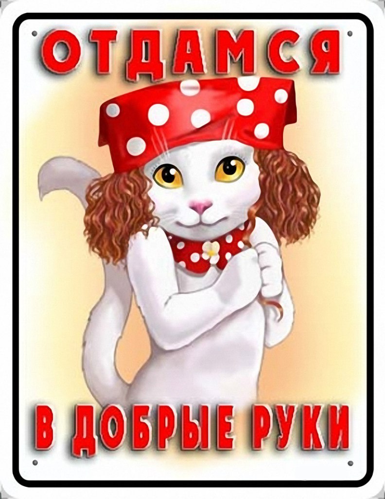 Павел Корецкий | Керчь