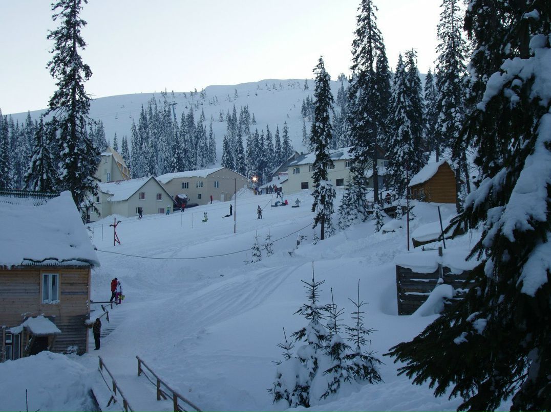 Людмила Щасная | Севастополь