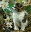 Фотография Мельник Даши