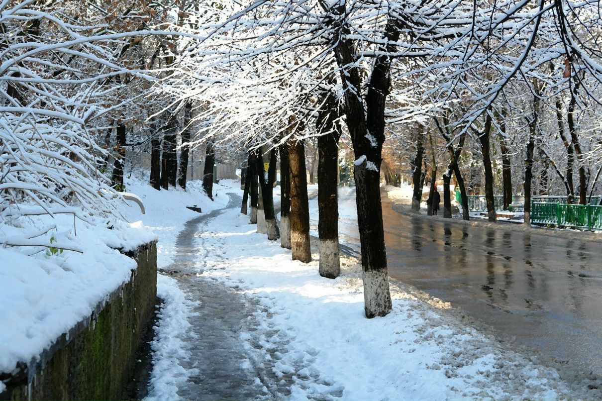 Максим Гайдай | Opole