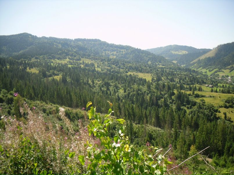 Юрій Карплюк | Новый Витков