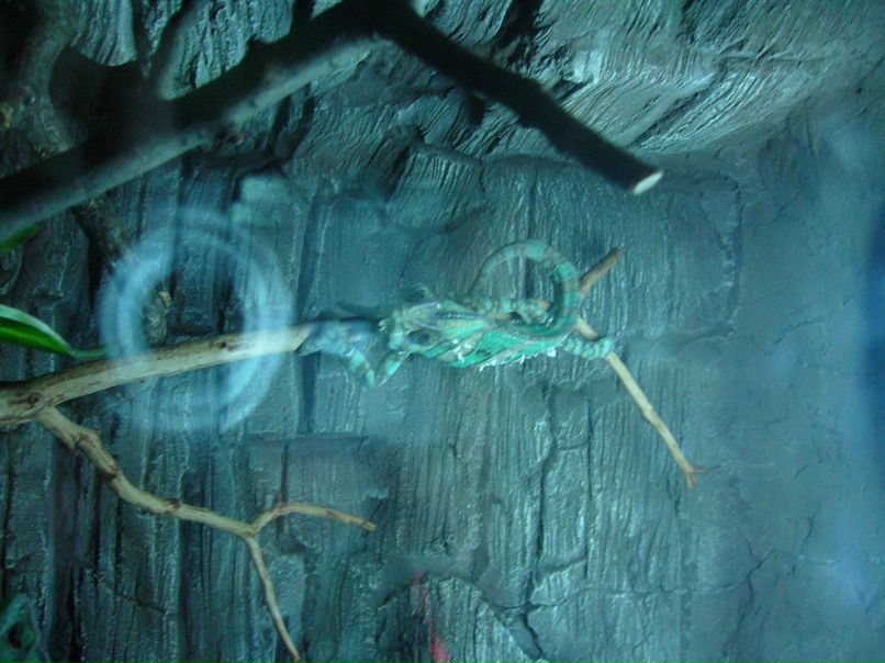 Александр Сидоров | Одинцово