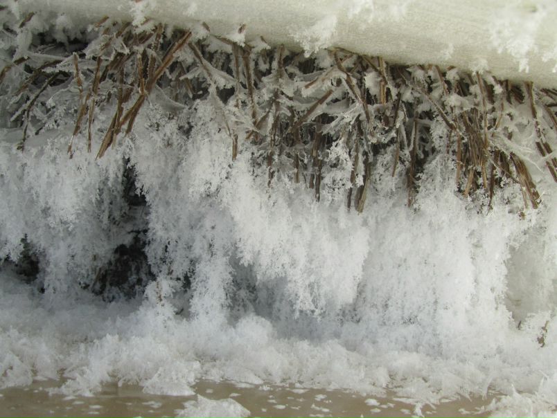 №168, Александр Елисеев, 50 лет, Санкт-Петербург №168, Александр Елисеев, 50 лет, Санкт-Петербург