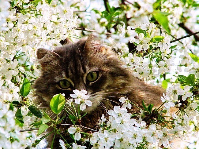 Эльвира Шайхутдинова счастливая | Уфа