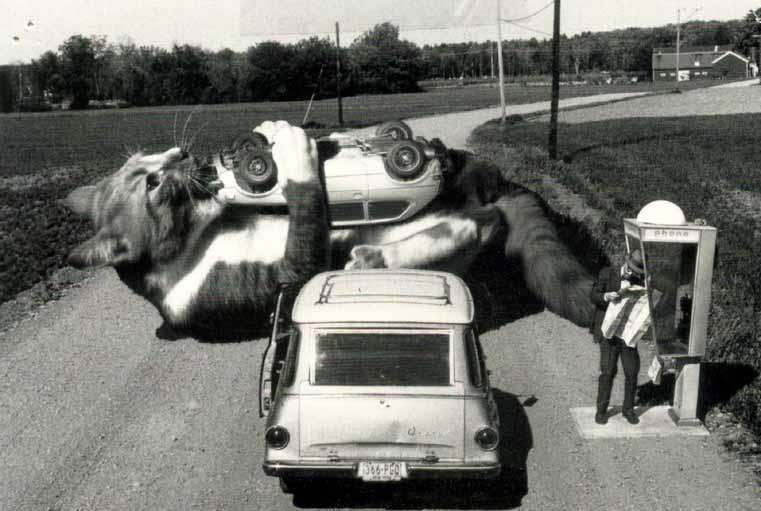 Олеся Даценко | 