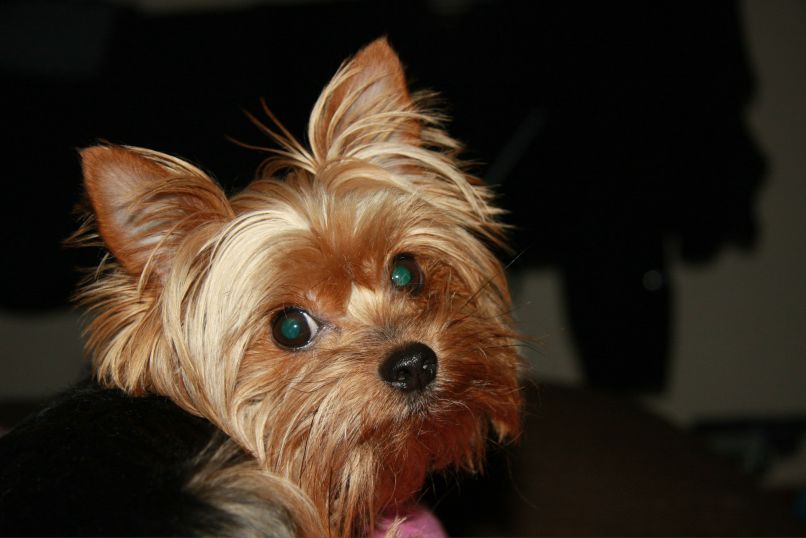 Олечка Титова princessa | Москва