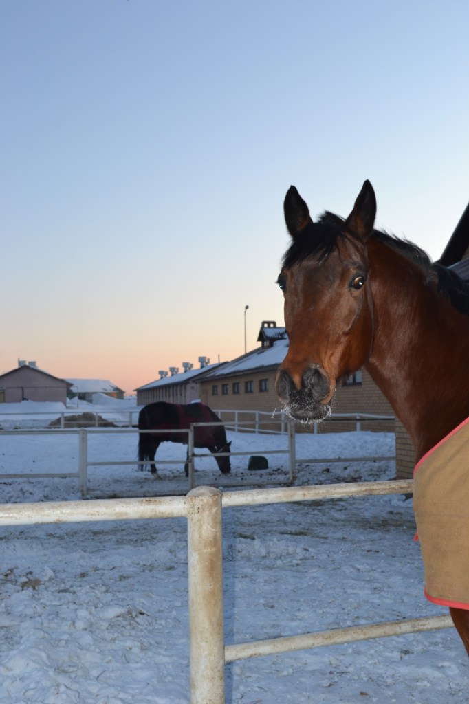 Кира Игнатова | Казань