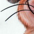 №41, Екатерина Волкова №41, Екатерина Волкова