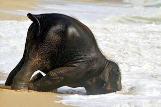 Violette Black | Москва