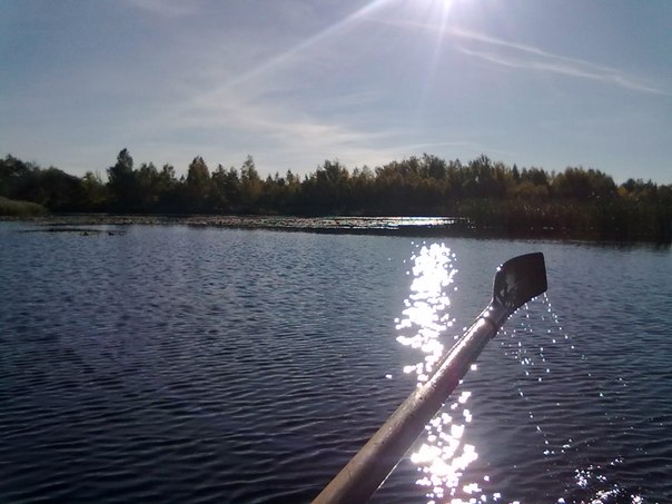 №141, Илья Володиков, 39 лет, Киев №141, Илья Володиков, 39 лет, Киев