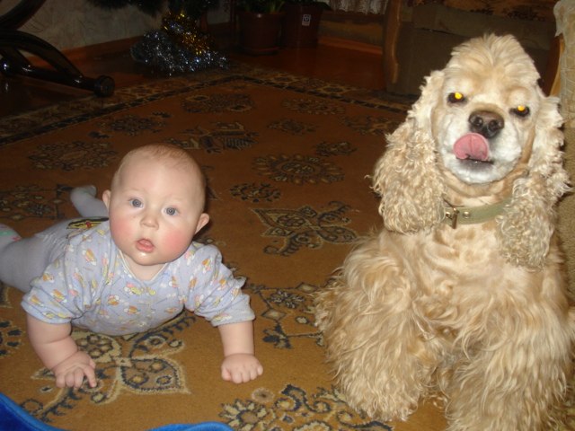 Светлана Шамарина | Апатиты