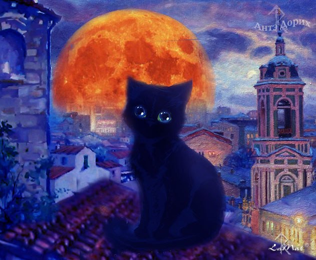 Анна Давидюк | Львов