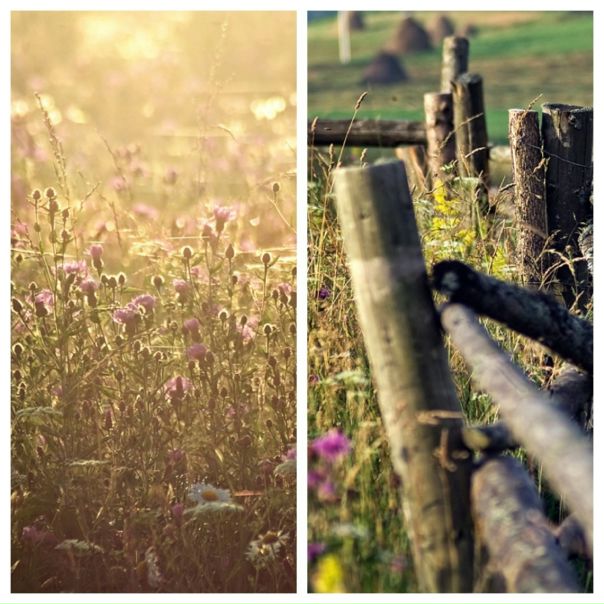 №40, Александра Черкас, 36 лет, Москва, Россия №40, Александра Черкас, 36 лет, Москва, Россия