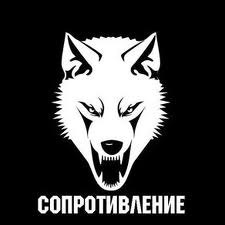 №51, Станислав Сурженко №51, Станислав Сурженко