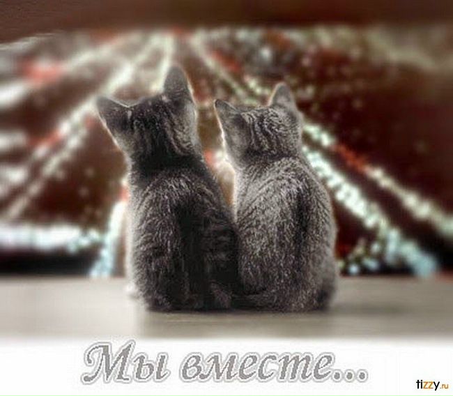 №3, Кариночка Каримова №3, Кариночка Каримова