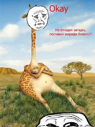 Тимур Журавлёв ⎝⏠⏝⏠⎠ | Малин