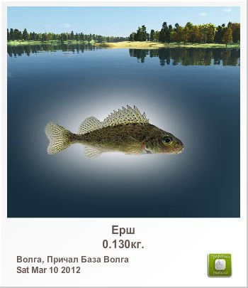 Иван Киселёв Иваныч | Ижевск