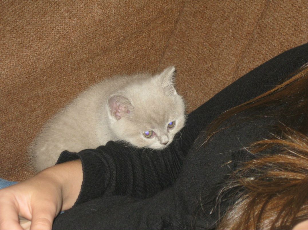 Екатерина Субботина | Санкт-Петербург