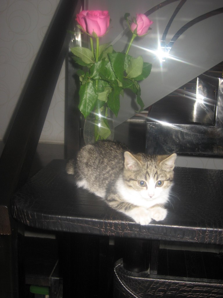 Надя Богачёва | Москва