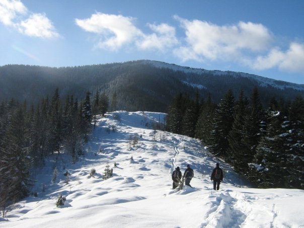 Наталія Тацишин-Войчишин | Ивано-Франковск