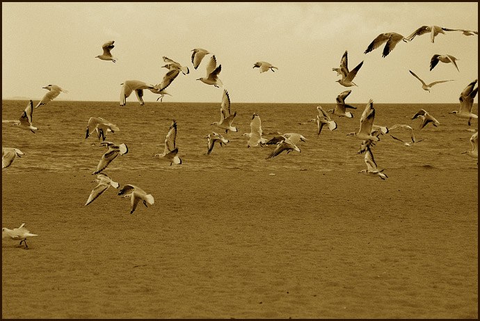 Евгений Денисов | Ангарск