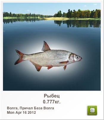 Иван Дунский | Липецк