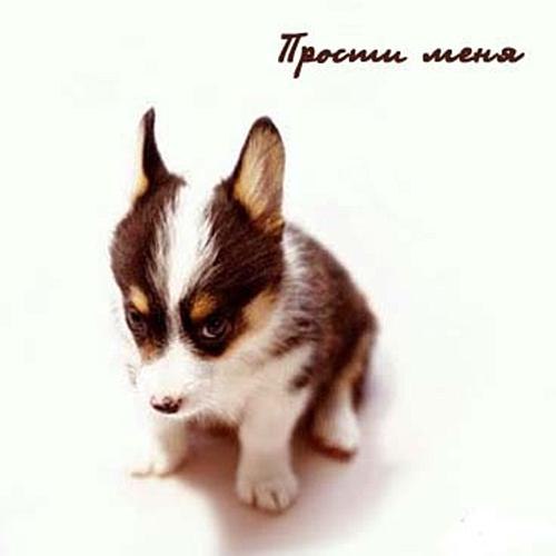 Виктория Туманова | Владивосток