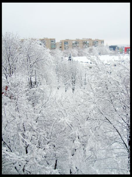№7, Елена Агапова, Харьков №7, Елена Агапова, Харьков