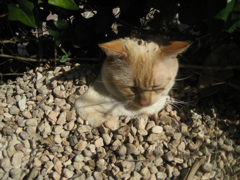 Ольга Егупова | l'Albir