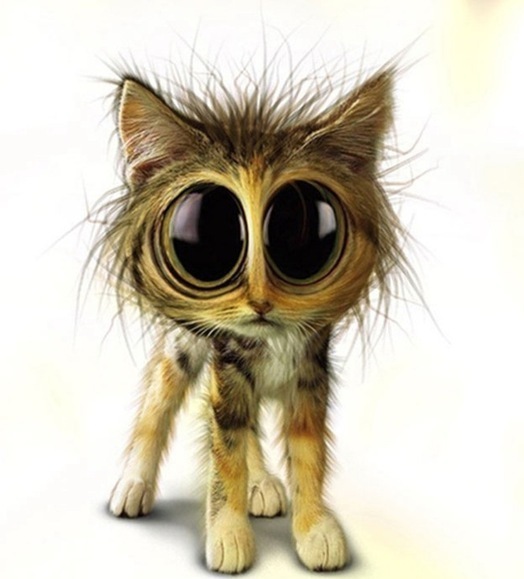 №96, Екатерина Невзорова, Philadelphia, США №96, Екатерина Невзорова, Philadelphia, США