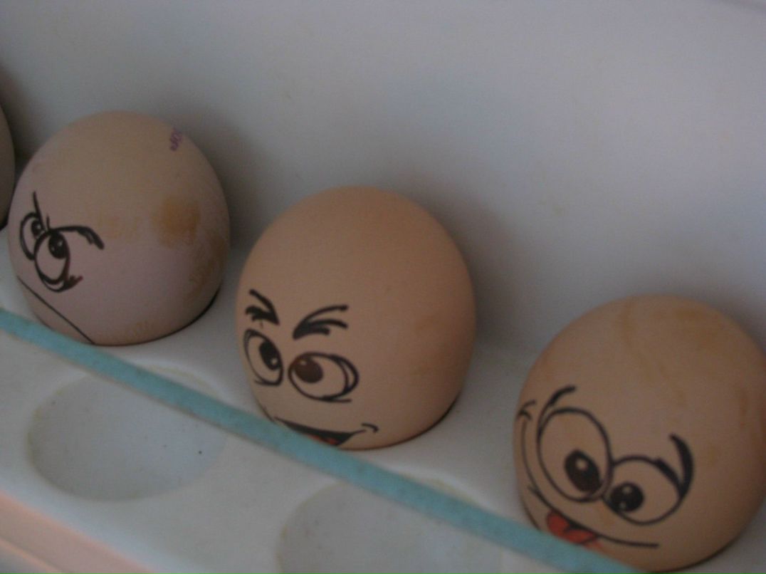 Александр Маланкин | Красноярск