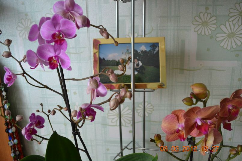 Виктория Бегаль | Киев