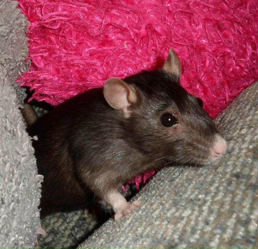 Екатерина Барабанова ВЕЛИКАЯ | Москва