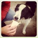 №13, Павел Иевлев, Санкт-Петербург, Россия