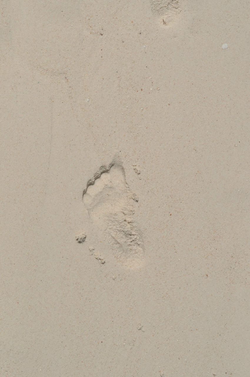 Людмила Сграбилова | Барнаул