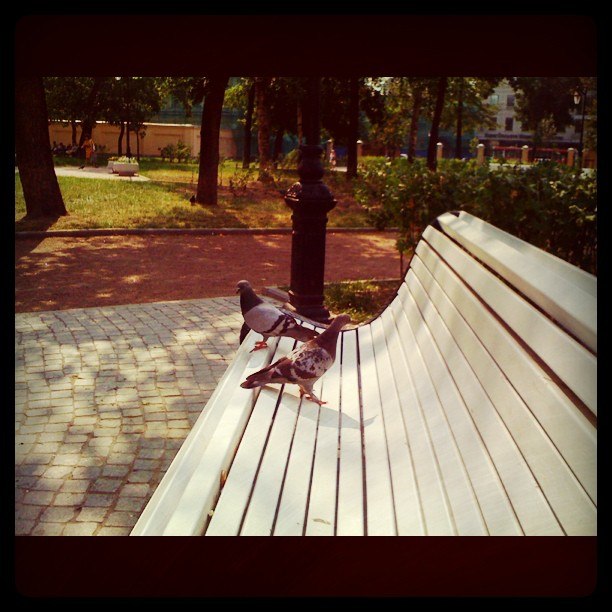 Михаил Диланян | Санкт-Петербург