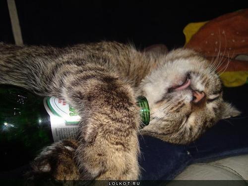 Юлия Иванова | Хабаровск