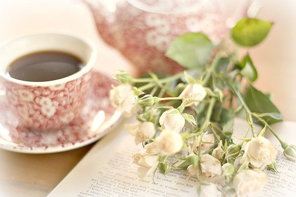 Olga Solovyova | Киев