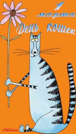 Михаил Пасечник | Запорожье