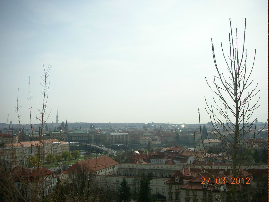 Вероника Жаброва | Москва