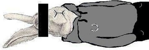 Sexy Boy ♥ | Washington, D.C.