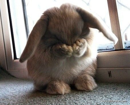 Евгения Лорер | Астана / Нур-Султан