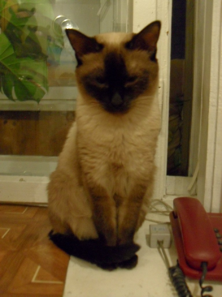 Любовь Чилина | Санкт-Петербург