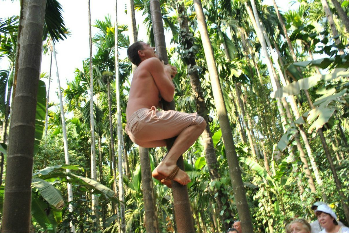 Ирина Пискарева | Киевский